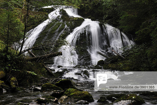 Wasserfall im pazifischen Regenwald  Kanada