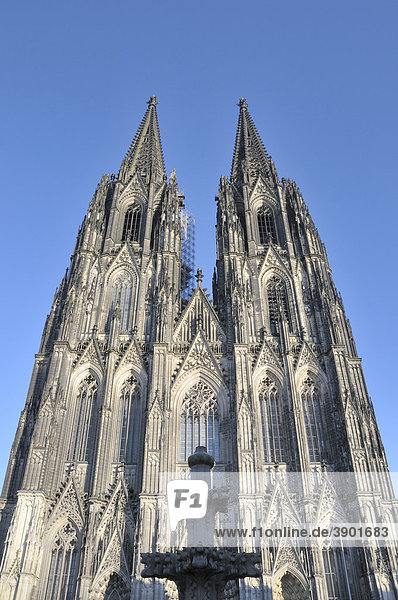 Westfassade des Kölner Doms  davor ein Modell der Kreuzblume  Symbol der Domvollendung  Köln  Nordrhein-Westfalen  Deutschland  Europa