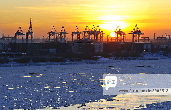Sonnenuntergang im winterlichen Hamburger Hafen  Elbe  Hamburg  Deutschland  Europa
