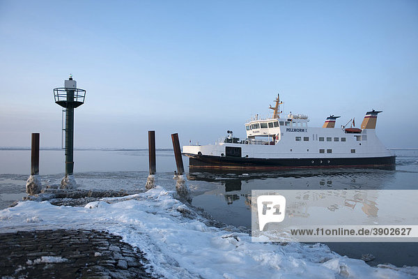Die Inselfähre nach Pellworm verlässt bei Eisgang den Hafen von Strucköahnungshörn  Winter auf der Halbinsel Nordstrand  Nordsee  Nordfriesland  Schleswig-Holstein  Norddeutschland  Europa