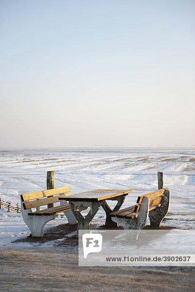 Verschneites Deichvorland  Winter auf der Halbinsel Nordstrand  UNESCO Weltnaturerbe  Nordsee  Nordfriesland  Schleswig-Holstein  Norddeutschland  Europa