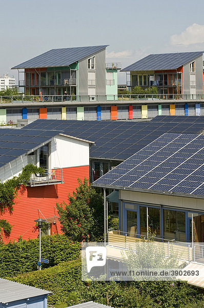 Solarsiedlung  Quartier Vauban  neues Wohnviertel mit dem sich Freiburg auf der EXPO 2010 in Shanghai vorstellt  Freiburg  Baden-Württemberg  Deutschland  Europa