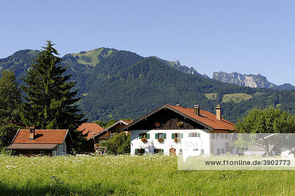 Bauernhof bei Lenggries  Isarwinkel  Tölzer Land  mit Brauneck  Oberbayern  Bayern  Deutschland  Europe
