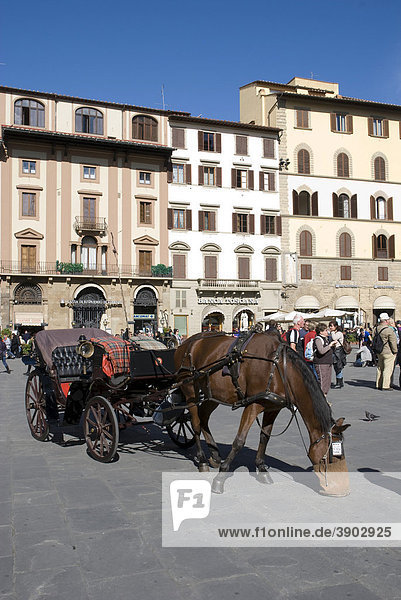 Fiaker an der Piazza della Signoria  Florenz  Toskana  Italien  Europa