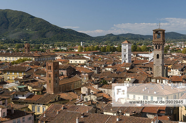 View from the Torre Guinigi look-out on the city  Lucca  Tuscany  Italy  Europe