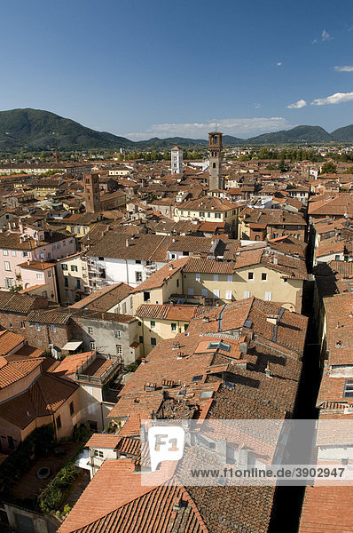 View from the Torre Guinigi look-out on the city  Lucca  Tuscany  Italy  Europe