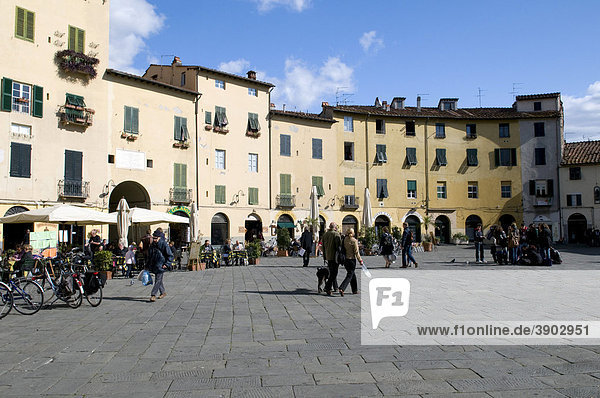 Piazza Anfiteatro  Lucca  Toskana  Italien  Europa