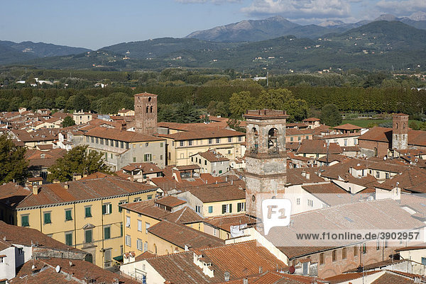 View of Lucca from Torre Civica Delle Ore  Lucca  Tuscany  Italy  Europe