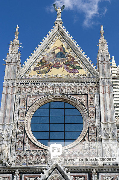 Fassade am Dom Duomo Santa Maria Assunta  Siena  UNESCO-Weltkulturerbe  Toskana  Italien  Europa