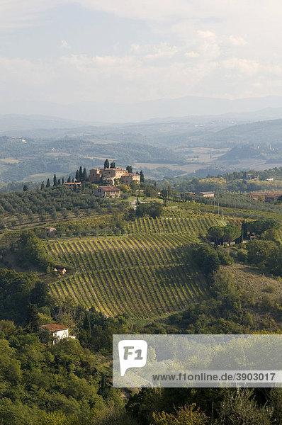 Typische toskanische Landschaft bei San Gimignano  Toskana  Italien  Europa