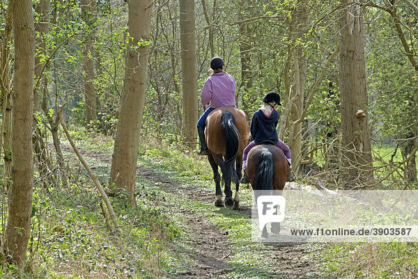 Zwei Mädchen reiten auf Pferden einen Waldweg entlang  frühes Frühjahr  Hertfordshire  England  Vereinigtes Königreich  Europa