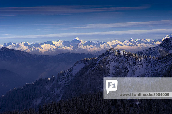 Bayerische Alpen vom Wallberg  Winter  Oberbayern  Bayern  Deutschland  Europa