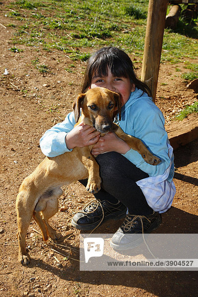 Mädchen mit Hund  Mapuche Indianer  bei ConcepciÛn  Südchile  Chile  Südamerika
