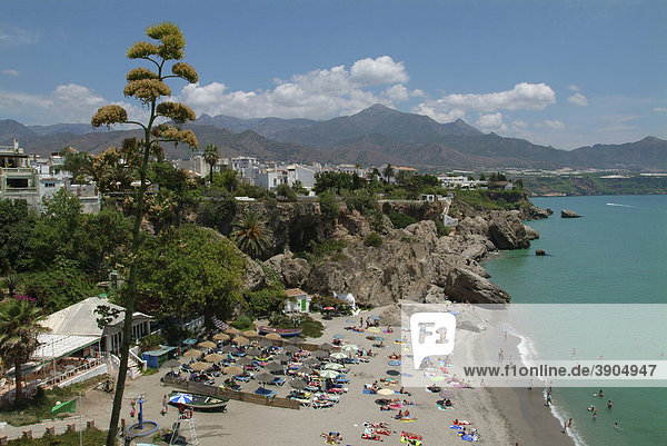 Playa Calahonda  Blick auf den Strand vom Balcon de Europa  Nerja  Provinz Malaga  Costa del Sol  Andalusien  Spanien  Europa
