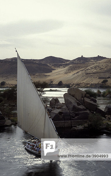 Felucke mit Touristen auf dem Nil vor der Sahara Wüste  bei Assuan  Ägypten  Nordafrika  Afrika