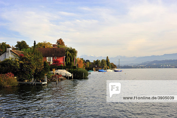 Lake Zurich  Zurich  Switzerland  Europe
