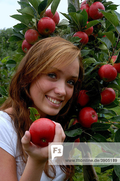Lächelndes Mädchen mit einem roten Apfel in Apfelplantage