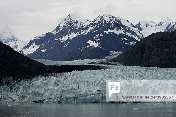 Johns Hopkins Glacier im Glacier Bay Nationalpark  Alaska  USA
