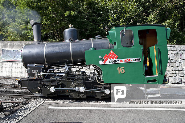 Steam locomotive of the Brienz-Rothorn-Bahn rack railway  Bernese Oberland  Switzerland  Europe