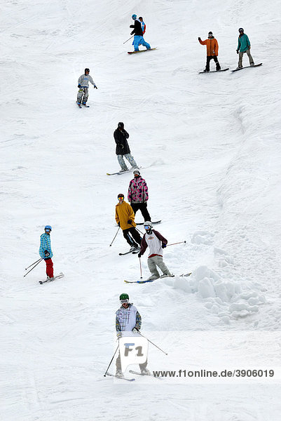 Skifahrer in Aktion  Folgefonn Sommerskicenter AS  Folgefonna-Gletscher  Norwegen  Europa