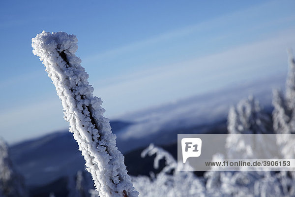 Verschneiter Markierungspfosten vor Bergpanorama  Winter  Schwarzwald  Baden-Württemberg  Deutschland  Europa