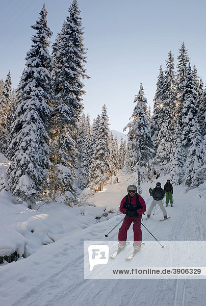 Skiers in the forest  Austria  Europe