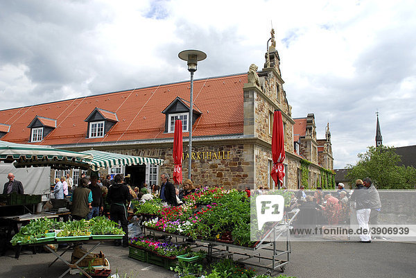 Markt mit Blumen  dahinter die historische Markthalle  ehemaliger Marstall  Kassel  Hessen  Deutschland  Europa