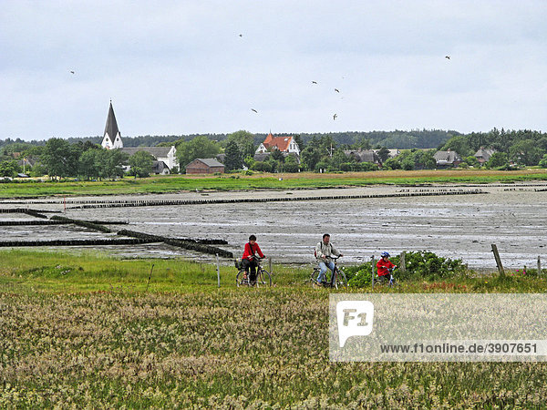 Family riding bicycles in front of the village Nebel  island of Amrum  Germany  Schleswig-Holstein  Europe