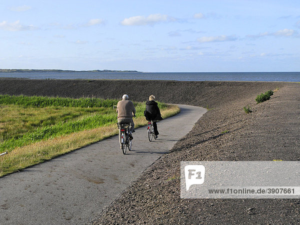 2 bicycle riders on a pathway alongside dyke wall  island of Amrum  Schleswig-Holstein  Germany  Europe