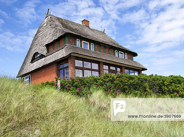 Nordfriesisches Reetdachhaus  Wittdün  Insel Amrum  Schleswig-Holstein  Deutschland  Europa