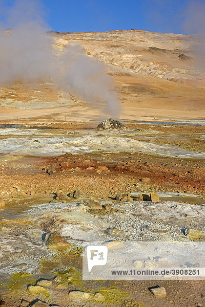 Solfatar im Geothermalgebiet Namafjall am Myvatn auf Island  Europa