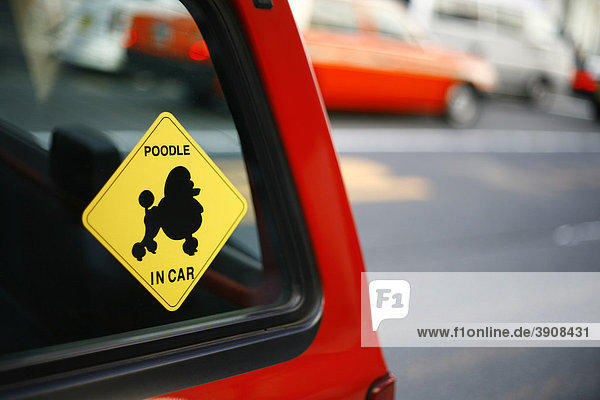 Poodle in the car sticker in Tokyo  Japan  Asia