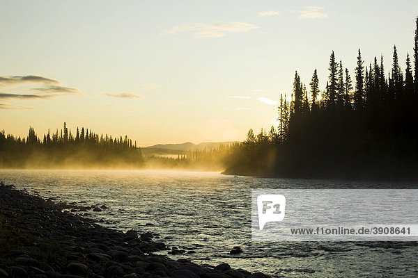 Morgen  Nebel  Nebel  Sonnenuntergang  Silhouette von Bäumen  oberer Liard River  Yukon Territory  Kanada