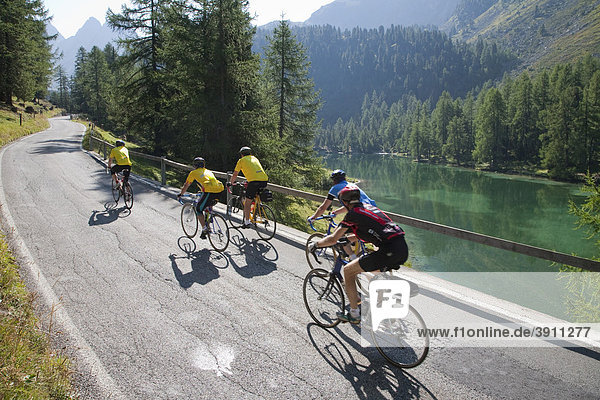 Cyclists on the Albula Pass  Lai da Palpuogna lake at Preda  Grisons  Switzerland  Europe