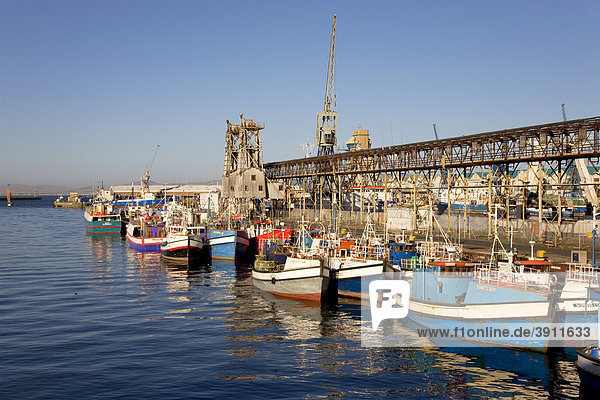 V & A Waterfront  fishing harbour  fishing boats  Cape Town  Western Cape  South Africa  Africa