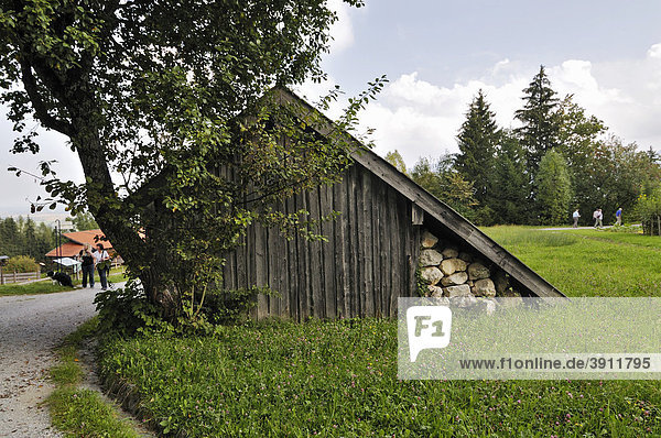 Heuschober auf Wiese  Bauernhofmuseum Glentleiten  Bayern  Deutschland  Europa