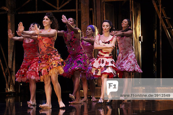 West Side Story  musical by Leonard Bernstein  50th Anniversary World Tour  Shark Girls  Musical Theater Basel  Switzerland