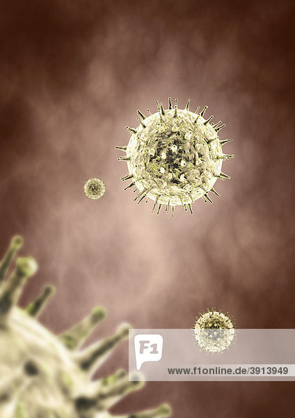 3D-Modell von Viren