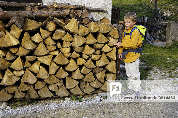 Kleiner Junge  8 Jahre  beim Wandern  steht am Holzstoß