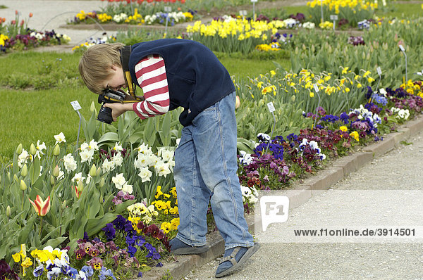 Kleiner Junge  10 Jahre  fotografiert Blumen