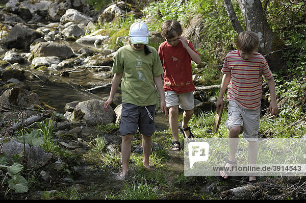 Children walking in a small creek bed