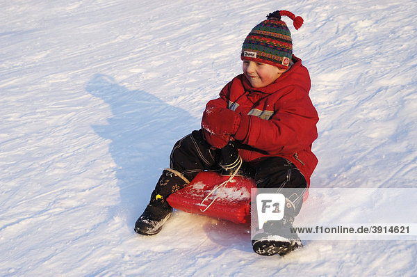 Little boy  5  while sledding
