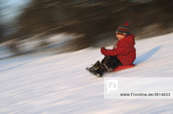 Little boy  5  while sledding
