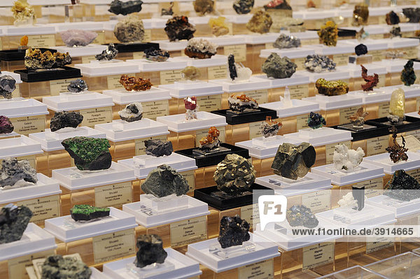 Stand with various minerals  mineral fair in Munich  Bavaria  Germany  Europe