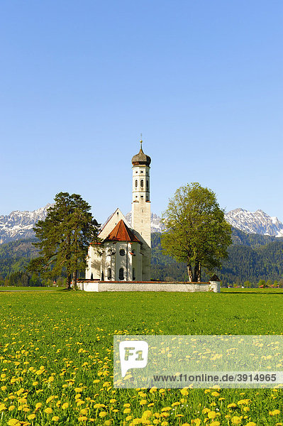 Wallfahrtskirche St. Coloman bei Füssen  Thannheimer Berge  Frühling  Ostallgäu  Allgäu  Bayern  Deutschland  Europa