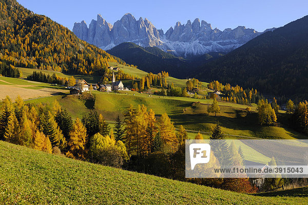 Kirche von St. Magdalena mit Geislergruppe  Villnösstal  Dolomiten  Südtirol  Italien  Europa