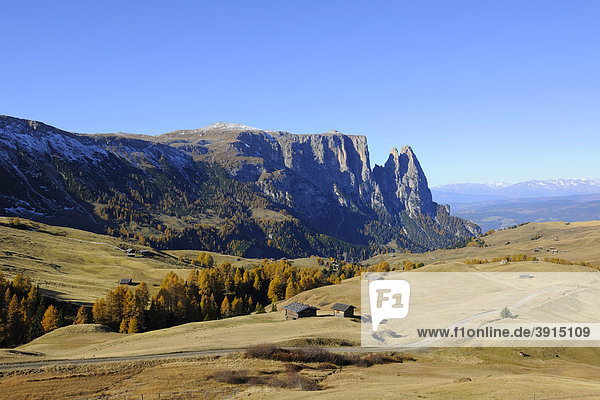 Seiser Alm mit Schlern  Dolomiten  Südtirol  Italien  Europa