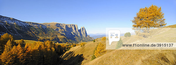 Seiser Alm mit Schlern im Herbst  Dolomiten  Südtirol  Italien  Europa