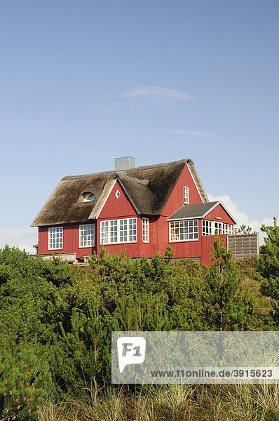 Klassisches  reetgedecktes Ferienhaus in Vejers Strand  Jütland  Dänemark  Europa