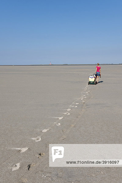 Young woman  20-25 years  pulling a wagon with luggage across the sandy beach of St Peter Ording  North Sea  North Friesland  Schleswig-Holstein  northern Germany  Germany  Europe